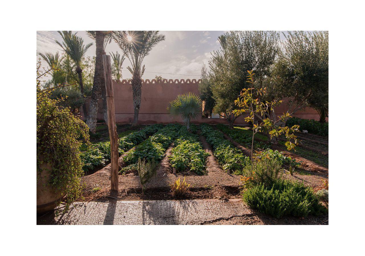Villa 55 Marrakech Marrakesh Buitenkant foto