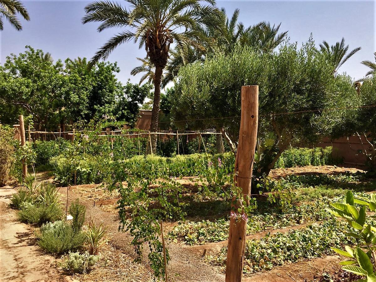 Villa 55 Marrakech Marrakesh Buitenkant foto